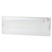 Светильник светодиодный DPA-301-1-65 IP65 40LED 3ч аварийный постоянный Эра Б0051843