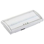 Светильник аварийный ДПА 5040-3 постоянный 3ч IP54