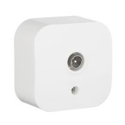 Розетка для открытой установки TV тип звезда белый QUTEO