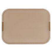 Стекло для электрощитов пластиковое