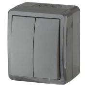 Выключатель двухклавишный наружный (открытой установки) IP54 серый 10А 250В винтовые зажимы ЭРА Эксперт 11-1404-03