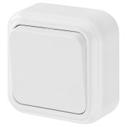 Выключатель одноклавишный наружный Пралеска