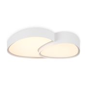 Светильник потолочный FR6079CL-L72W