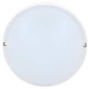 Светильник светодиодный ДПО 2002 12 Вт 4000K IP54 круг белый