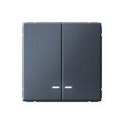 ARTGALLERY 2-клавишный ВЫКЛЮЧАТЕЛЬ с подсветкой, сх.5а, 10АХ, механизм, быстрозажимные клеммы, ГРИФЕЛЬ