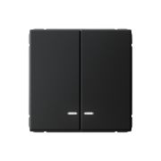 ARTGALLERY 2-клавишный выключатель с подсветкой, сх.5а, 10АХ, механизм, карбон