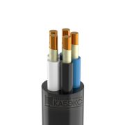 Кабель силовой ВВГнг(А)-FRLSLTx 5x6 ок(N, PE)-0.66