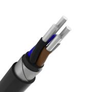 Кабель силовой АВБШв 4х25ок(N)-0,66ТРТС