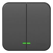 Выключатель BLANCA двухклавишный наружный (схема 5) с подсветкой и изоляционной пластиной 10а 250b антрацит